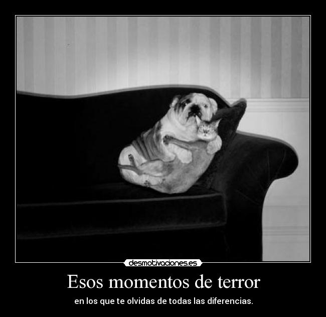 Esos momentos de terror -