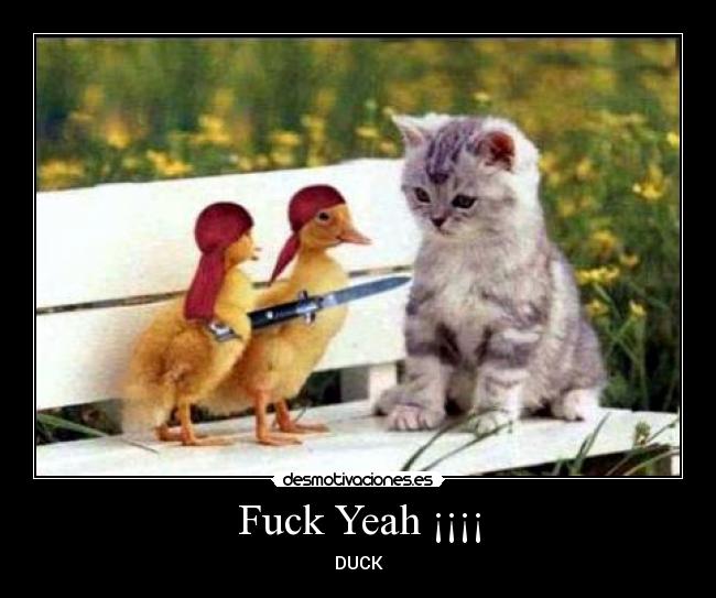 Fuck Yeah ¡¡¡¡ - DUCK