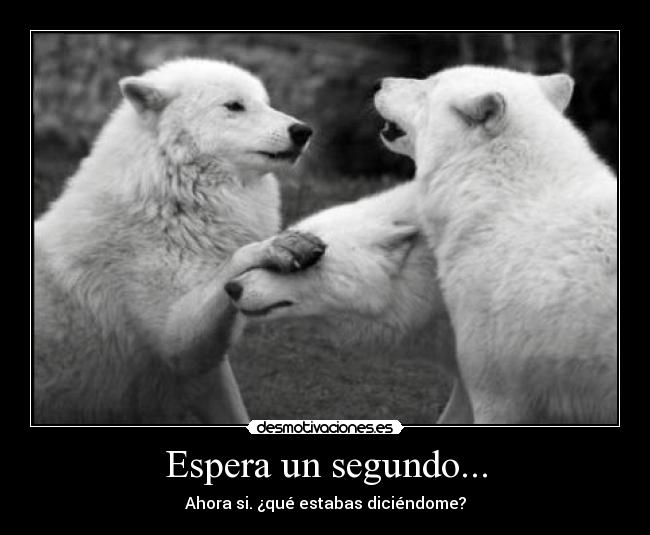 Espera un segundo... - Ahora si. ¿qué estabas diciéndome?