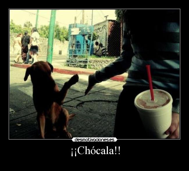 ¡¡Chócala!! - 