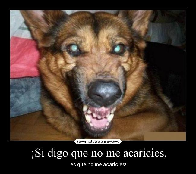 ¡Si digo que no me acaricies, -