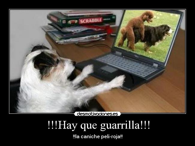 !!!Hay que guarrilla!!! - !!la caniche peli-roja!!