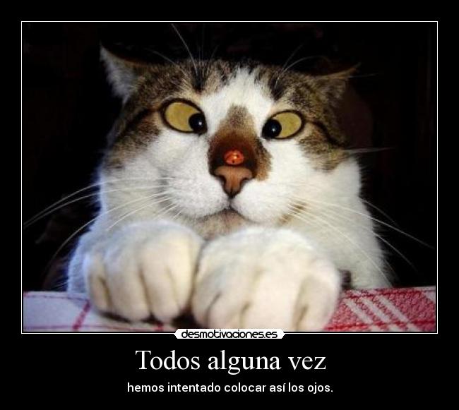 Todos alguna vez - hemos intentado colocar así los ojos.