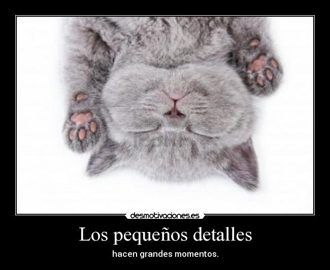 Los pequeños detalles - 