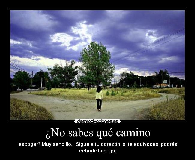 ¿No sabes qué camino - escoger? Muy sencillo... Sigue a tu corazón, si te equivocas, podrás echarle la culpa