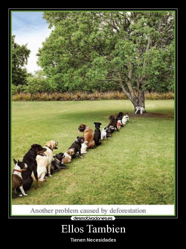 carteles ellos tambien desmotivaciones