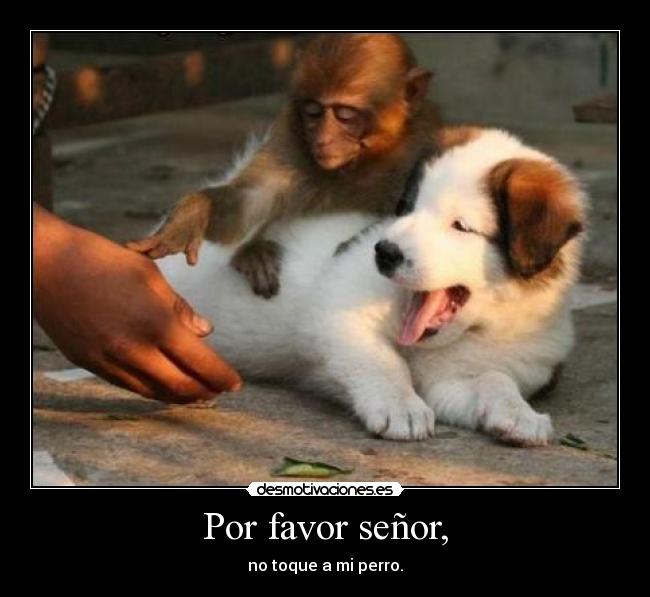 Por favor señor, -