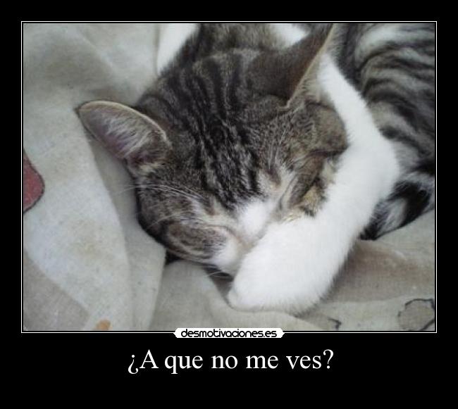¿A que no me ves? -