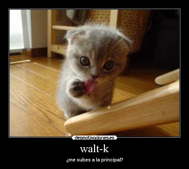walt-k - 
