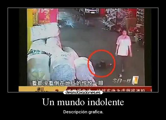 Un mundo indolente - Descripción grafica.