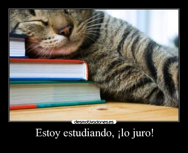 Estoy estudiando, ¡lo juro! - 