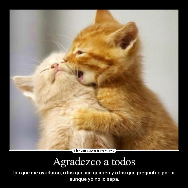 Agradezco a todos - 