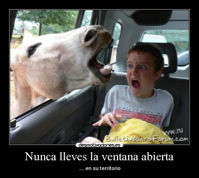 Nunca lleves la ventana abierta - 