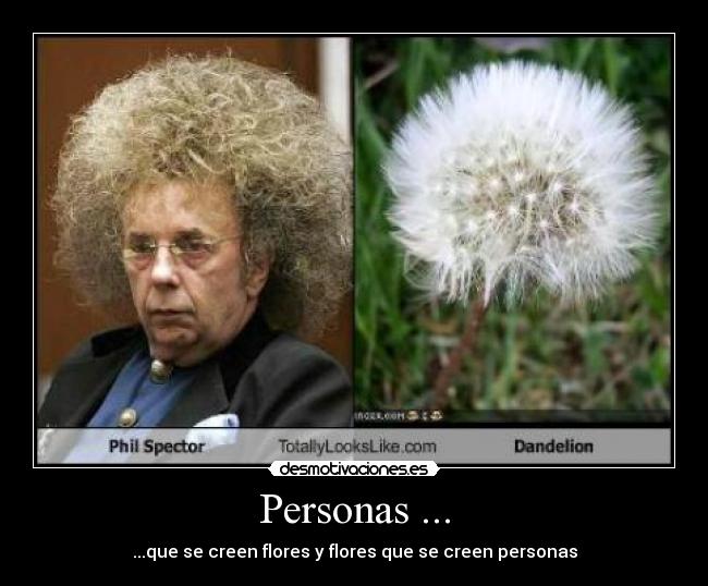 Personas ... - ...que se creen flores y flores que se creen personas