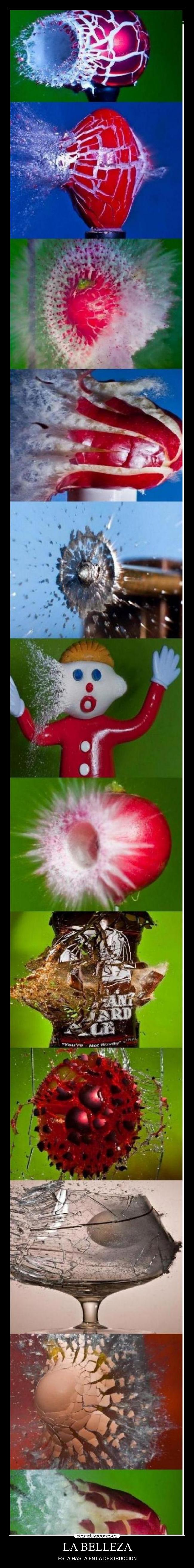 LA BELLEZA - ESTA HASTA EN LA DESTRUCCION