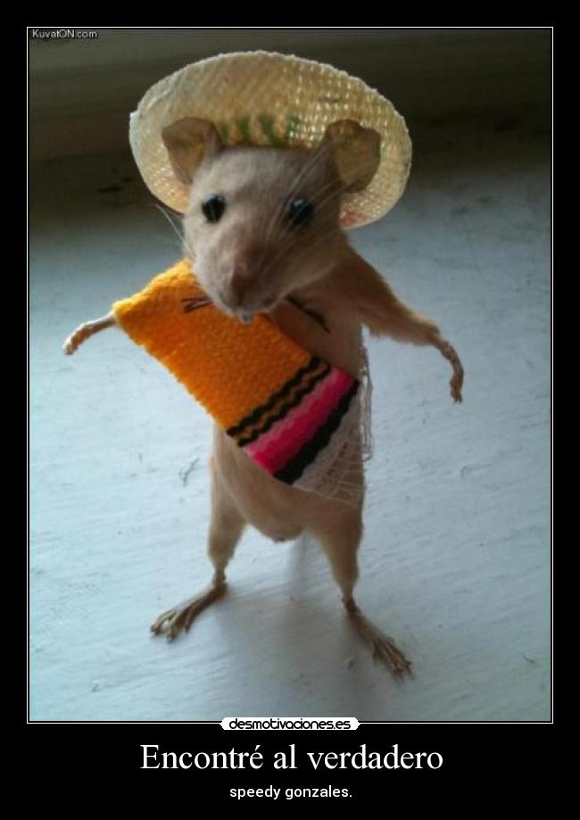 Encontré al verdadero -