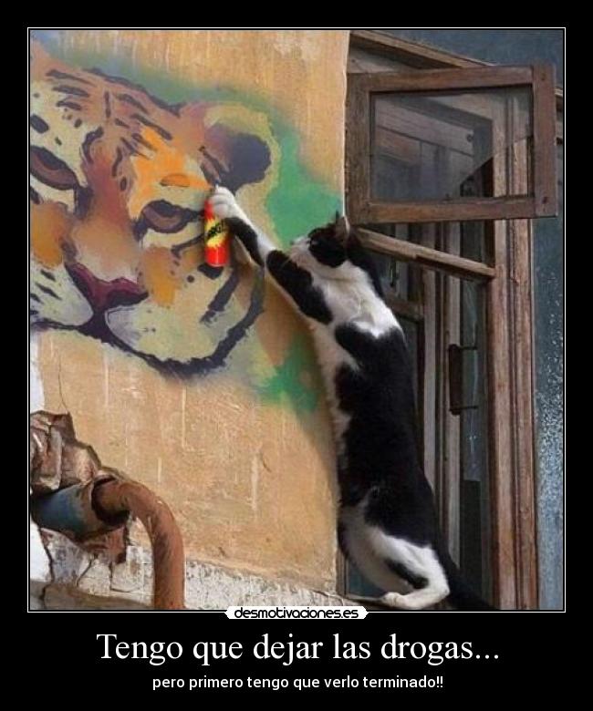 Tengo que dejar las drogas... - pero primero tengo que verlo terminado!!