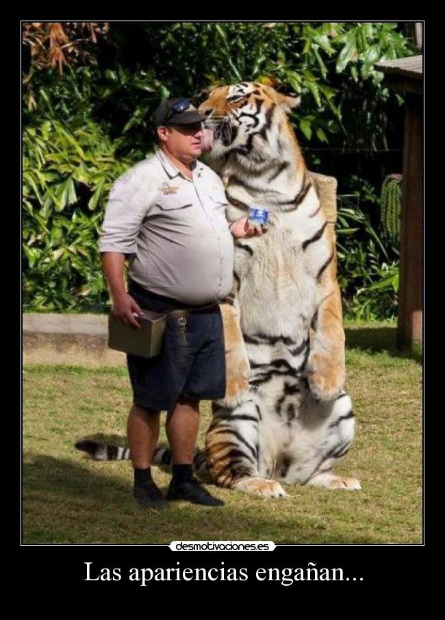 Las apariencias engañan... -