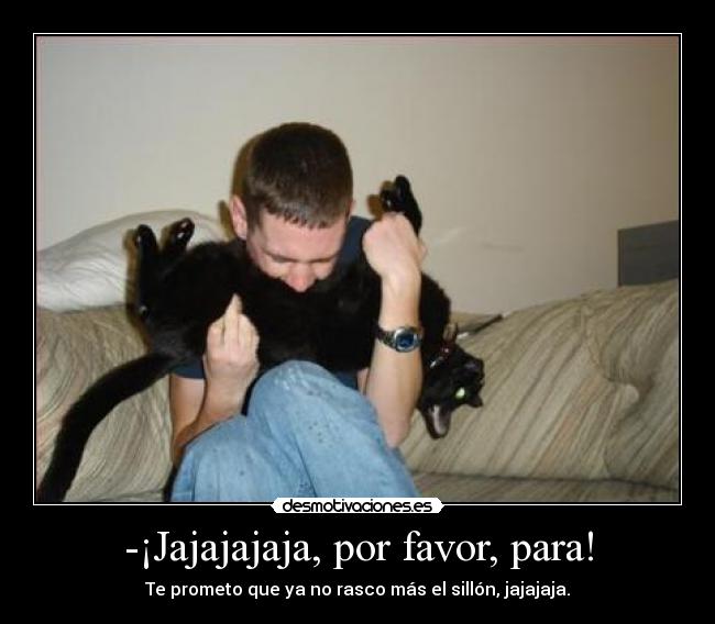 carteles gatosgatico cosquillas pedorreta silloon thor71 desmotivaciones