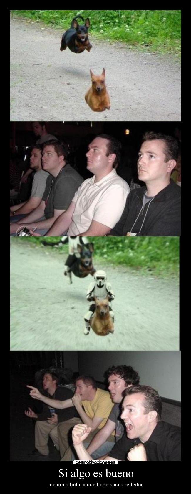 Si algo es bueno - mejora a todo lo que tiene a su alrededor