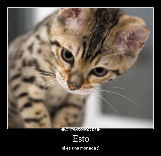 Esto - si es una monada :)