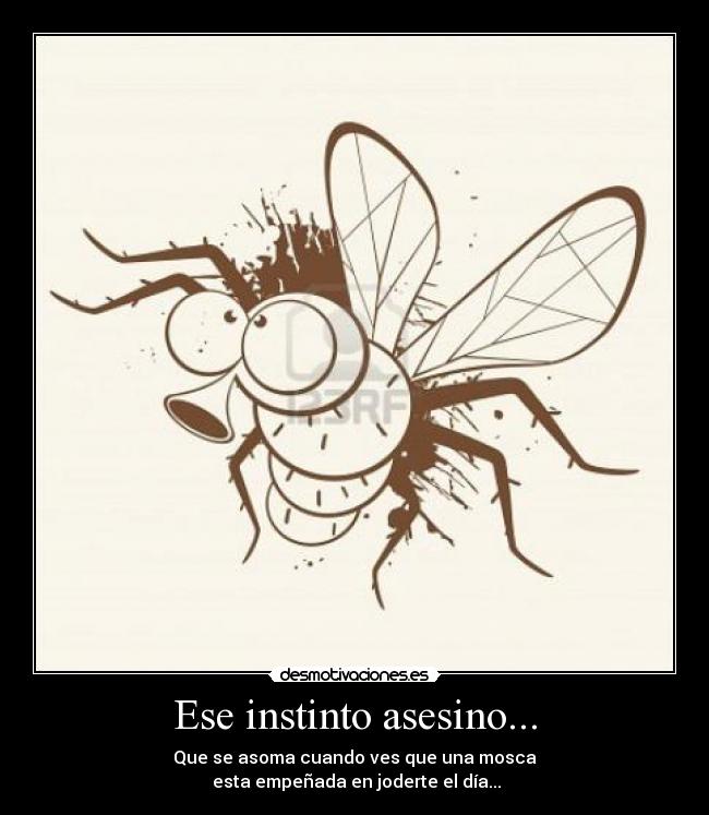 Ese instinto asesino... - Que se asoma cuando ves que una mosca
 esta empeñada en joderte el día...