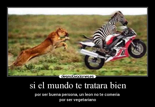 si el mundo te tratara bien - por ser buena persona, un leon no te comeria
por ser vegetariano