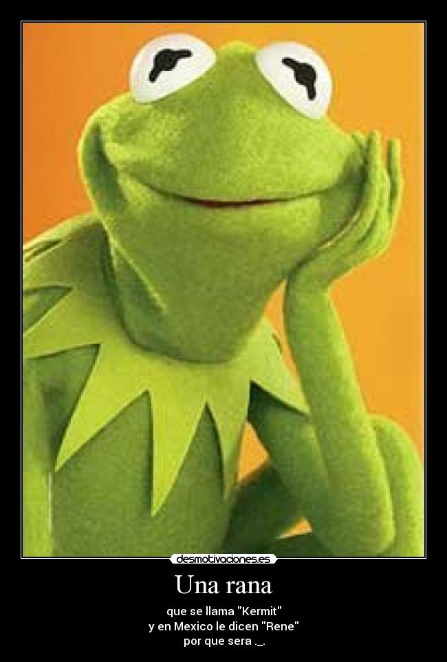 Una rana - que se llama Kermit
y en Mexico le dicen Rene
por que sera ._.