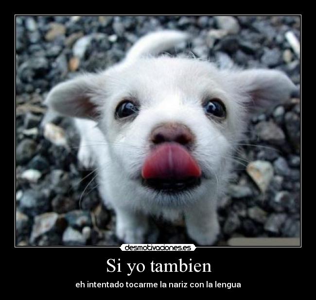 Si yo tambien - eh intentado tocarme la nariz con la lengua