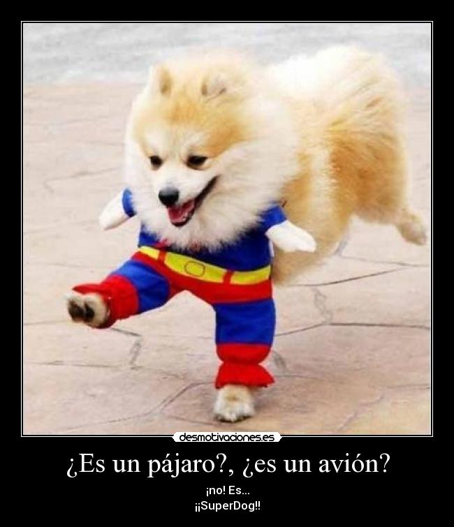 ¿Es un pájaro?, ¿es un avión? -