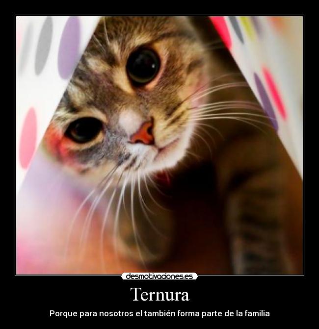 carteles kaatth desmotivaciones