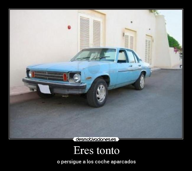 Eres tonto -
