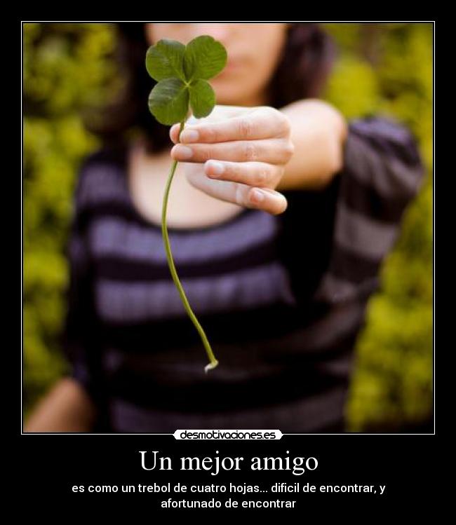 carteles trebol cuatro hojas desmotivaciones