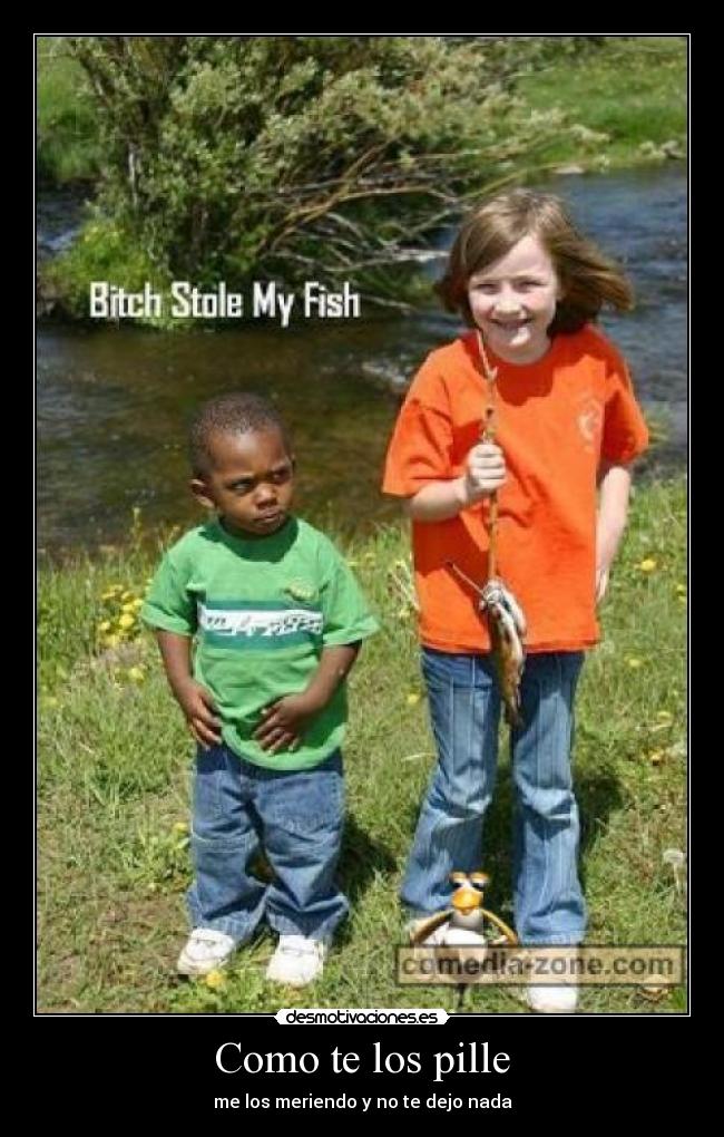 carteles zaz desmotivaciones