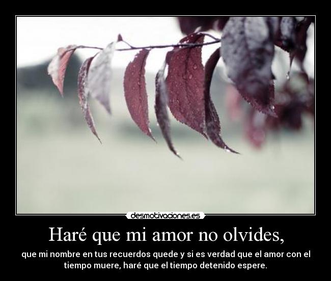 Haré que mi amor no olvides, -