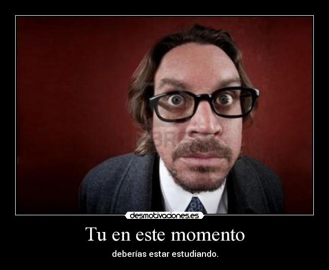 Tu en este momento - deberías estar estudiando.