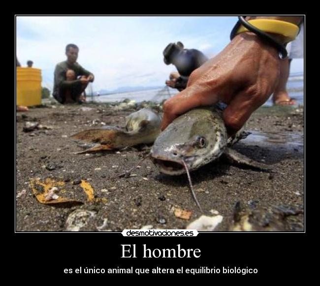 carteles hombre seres vivos animales muertos contamincacion peces nadar fuera ahogados residuos desmotivaciones