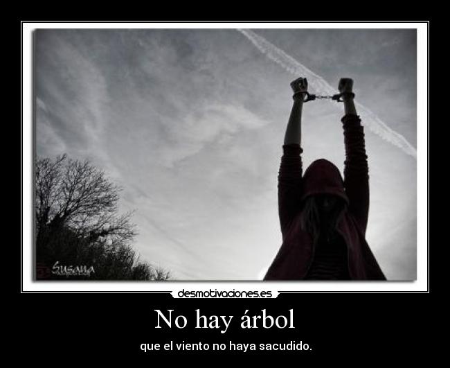 No hay árbol - que el viento no haya sacudido.