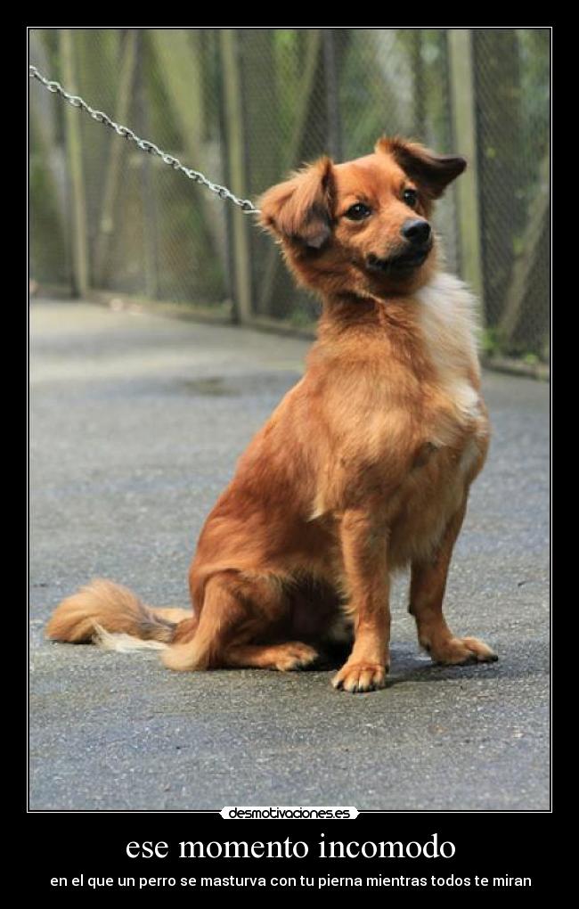 carteles desmotivaciones