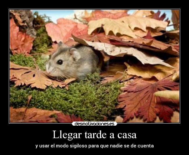 Llegar tarde a casa -