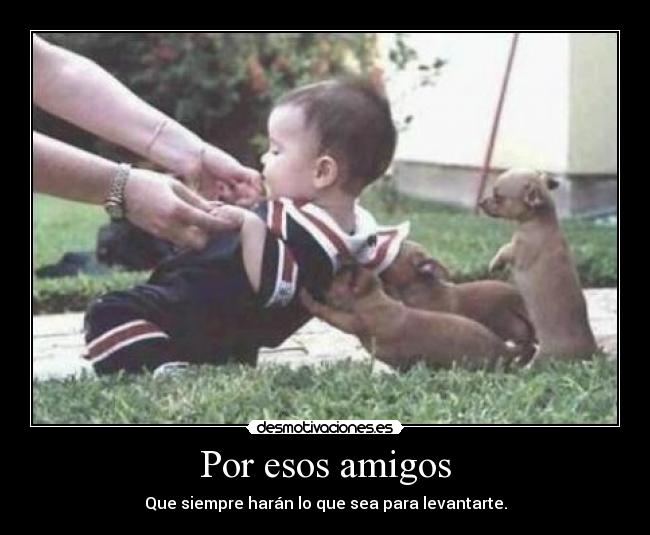 Por esos amigos -