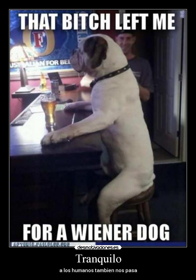 Tranquilo - a los humanos tambien nos pasa