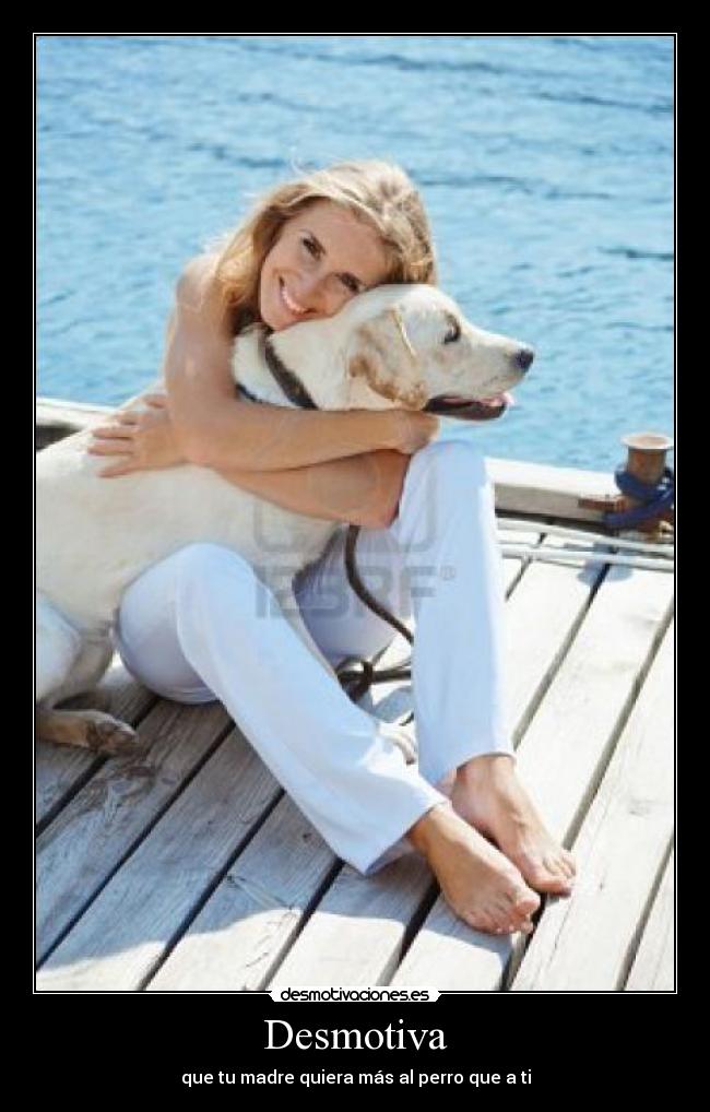 carteles madres mascotas perros querer mas perro desmotivaciones