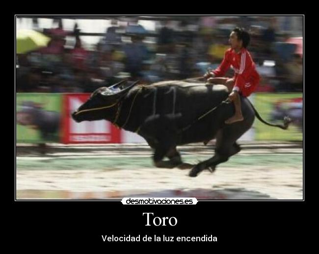 Toro - Velocidad de la luz encendida
