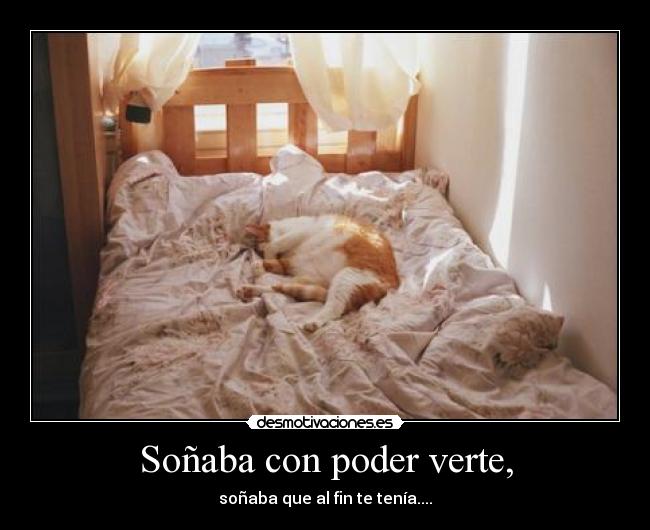 Soñaba con poder verte, -