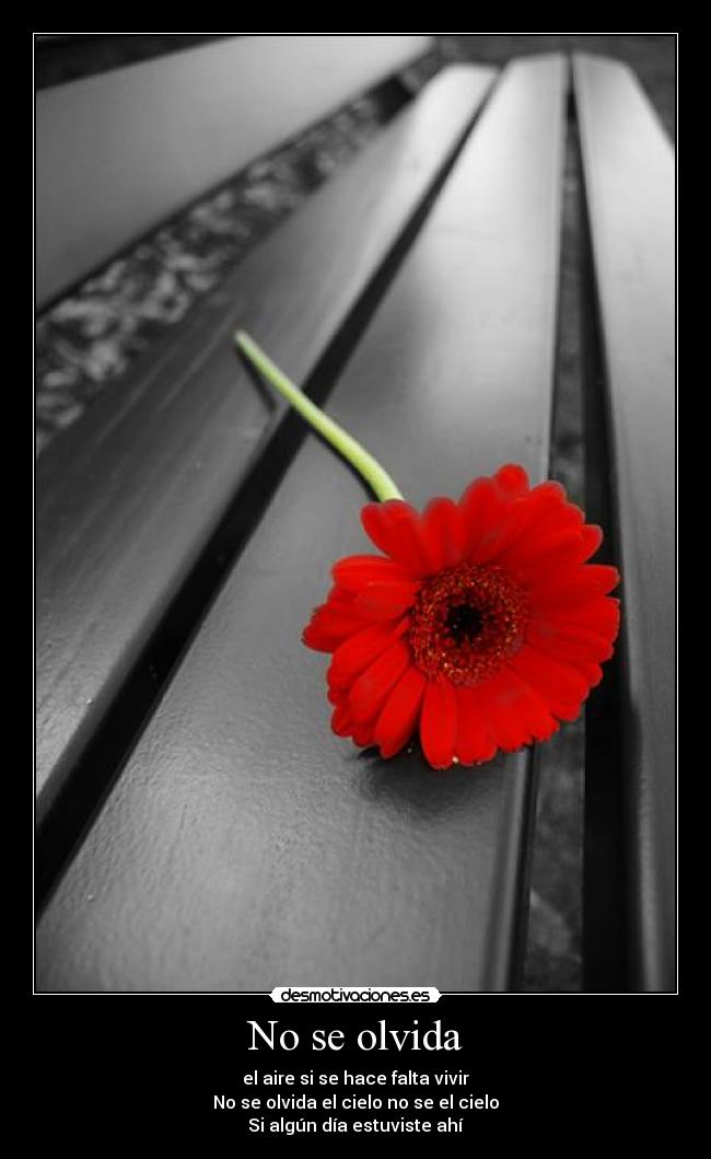 No se olvida - el aire si se hace falta vivir
No se olvida el cielo no se el cielo
Si algún día estuviste ahí