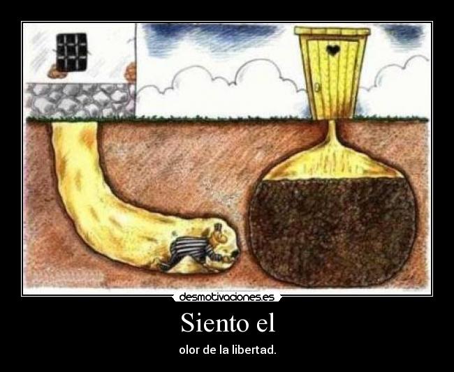 Siento el - 