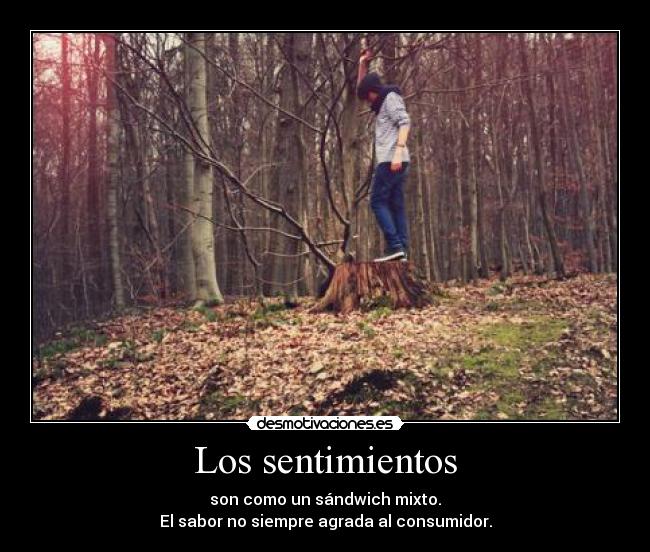 Los sentimientos - 