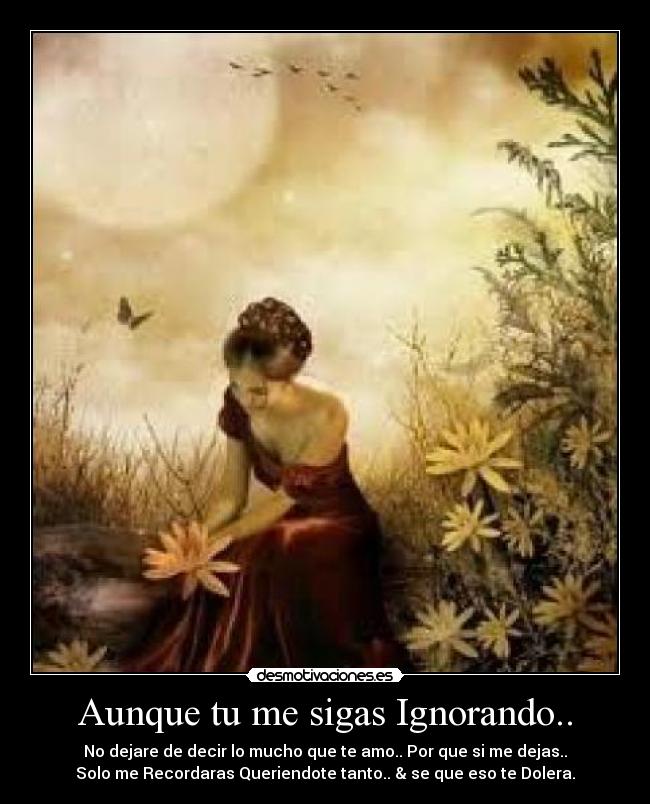 Aunque tu me sigas Ignorando.. - No dejare de decir lo mucho que te amo.. Por que si me dejas..
Solo me Recordaras Queriendote tanto.. & se que eso te Dolera.
