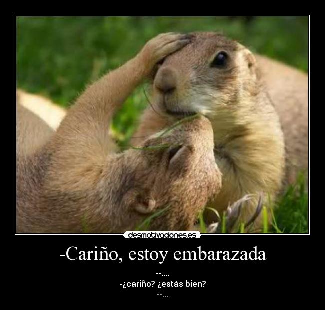 -Cariño, estoy embarazada - --....
-¿cariño? ¿estás bien?
--...